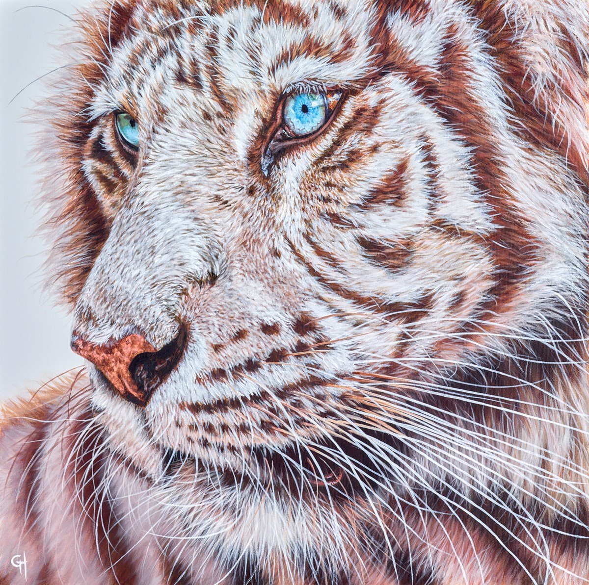 Snow Tiger